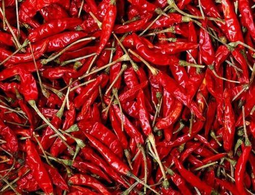 Dry Red Chilli(ఎండుమిర్చి)